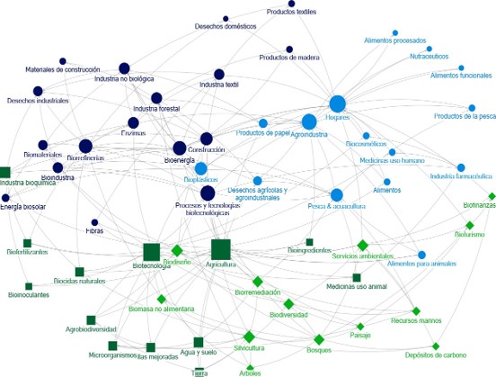 La interpretación de la bioeconomía con perspectiva de red. Interacciones