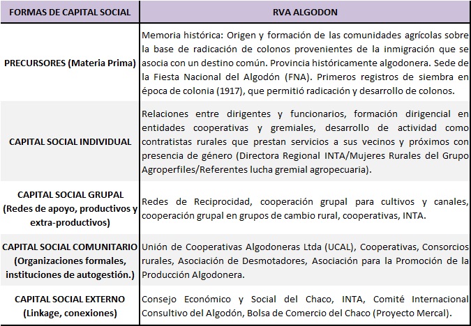 Variables relevadas para 3er círculo. Capital Social para RVAA