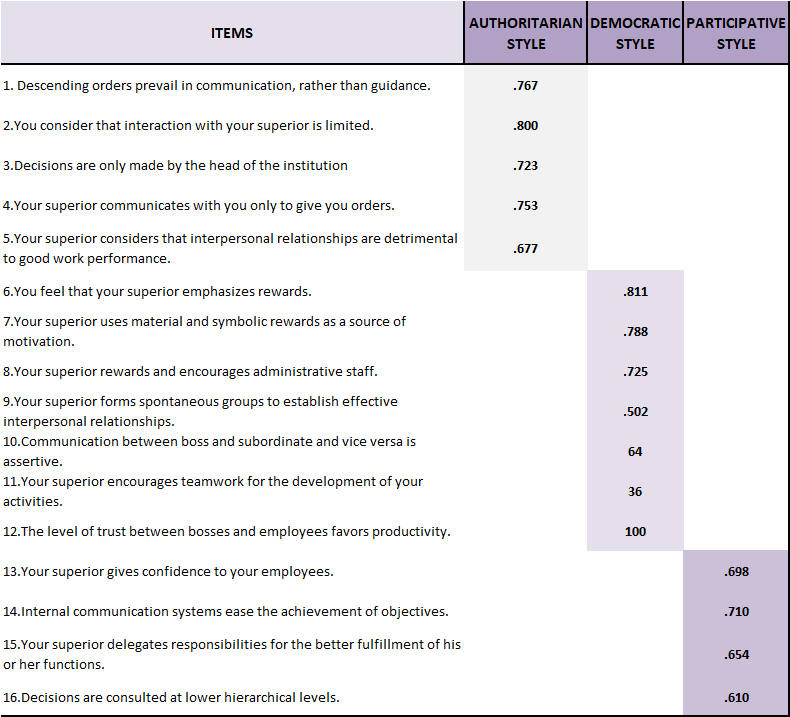 Exploratory factor analysis of the leadership instrument.