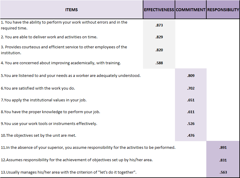 Exploratory factor analysis of the productivity instrument.