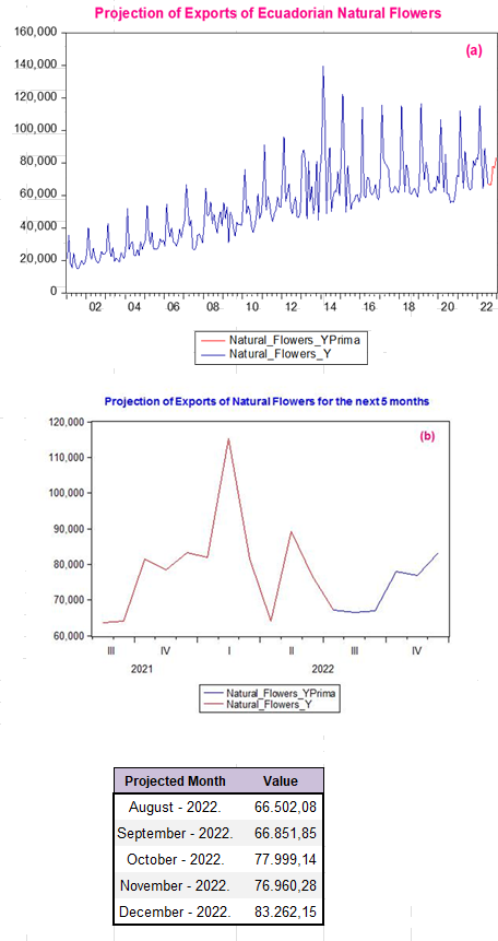 Graph of the Projection of Ecuadorian Exports