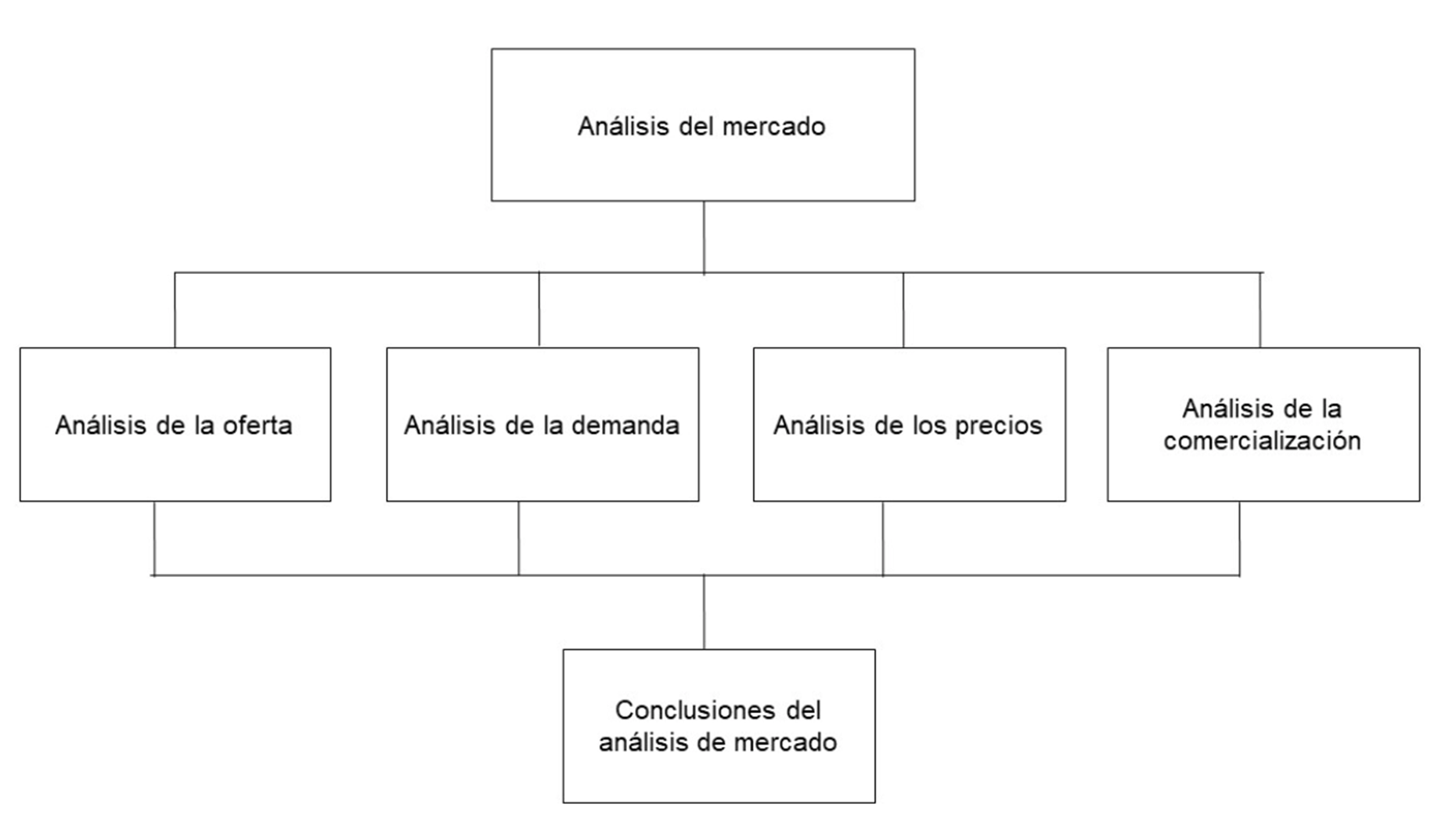 Estructura del Análisis del Mercado
