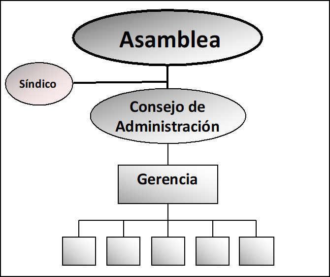 Órganos societarios de una cooperativa de trabajo, según ley 20.337 de Argentina