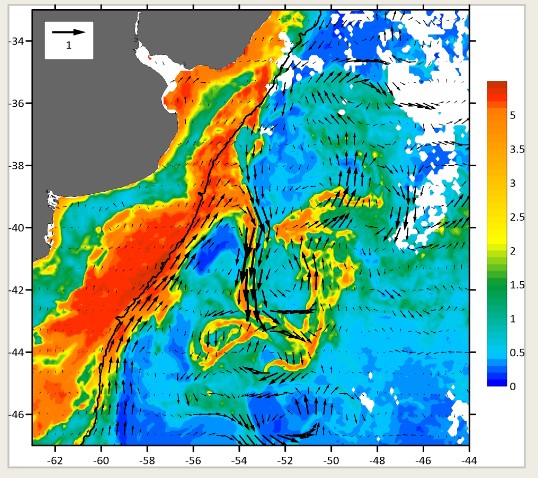Imagen satelital de clorofila y velocidad de la corriente superficial en donde
se observa el florecimiento fitoplanctónico de la
primavera 2021 y la exportación de las aguas de plataforma hacia el océano
profundo