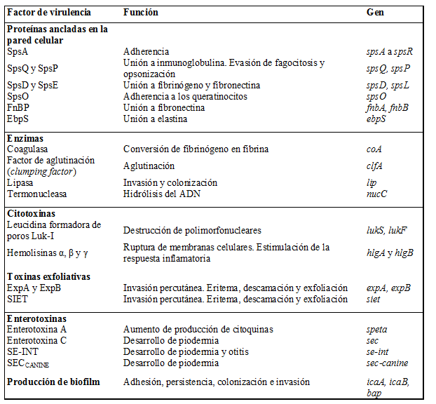 Principales
factores de virulencia de S. pseudintermedius