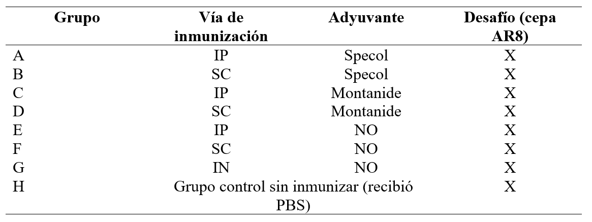 Inoculación de ratones BALB/c con la gC recombinante de alfaherpesvirus
equino 1 (EHV-1)