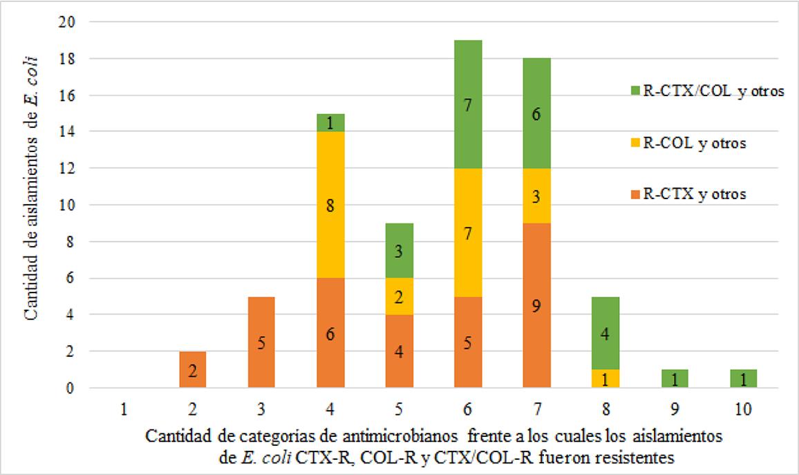 Distribución de los aislamientos de E. coli de origen porcino según la
  cantidad de categorías de antimicrobianos frente a los cuales fueron
  resistentes