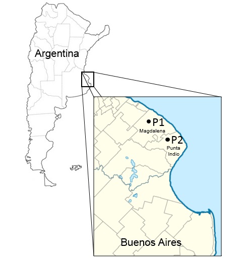 Mapa de Argentina con detalle en los
sitios de recolección de semillas de las dos poblaciones (P1 y P2) de S. berroi.