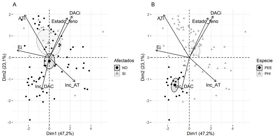 Correlaciones de los componentes principales
de las variables de crecimiento en el sitio BAJO. Porcentajes de variabilidad
que se logra explicar en cada dimensión. Criterios de clasificación: (A)
Afectación. (B) Especies.