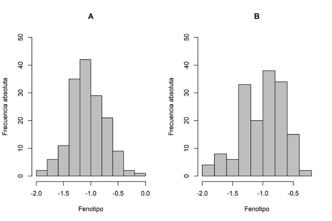 Frecuencias
absolutas de las variables dasométricas dinámicas.
(A) log10(Inc_AT) y (B) log10(Inc_DAC).