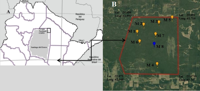 A - North of Argentina, Province of Santiago del Estero (grey) and Copo
National Park. B - Eight sampling points of Chaco Semi-arid Forest in Copo
National Park (red polygon). 